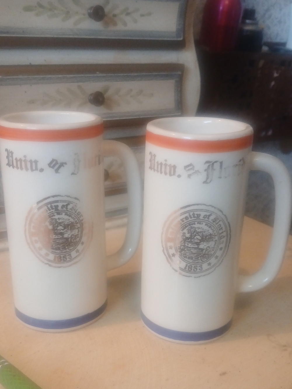 Pair Of Vintage WCBunting University Of FLA Gators Mugs